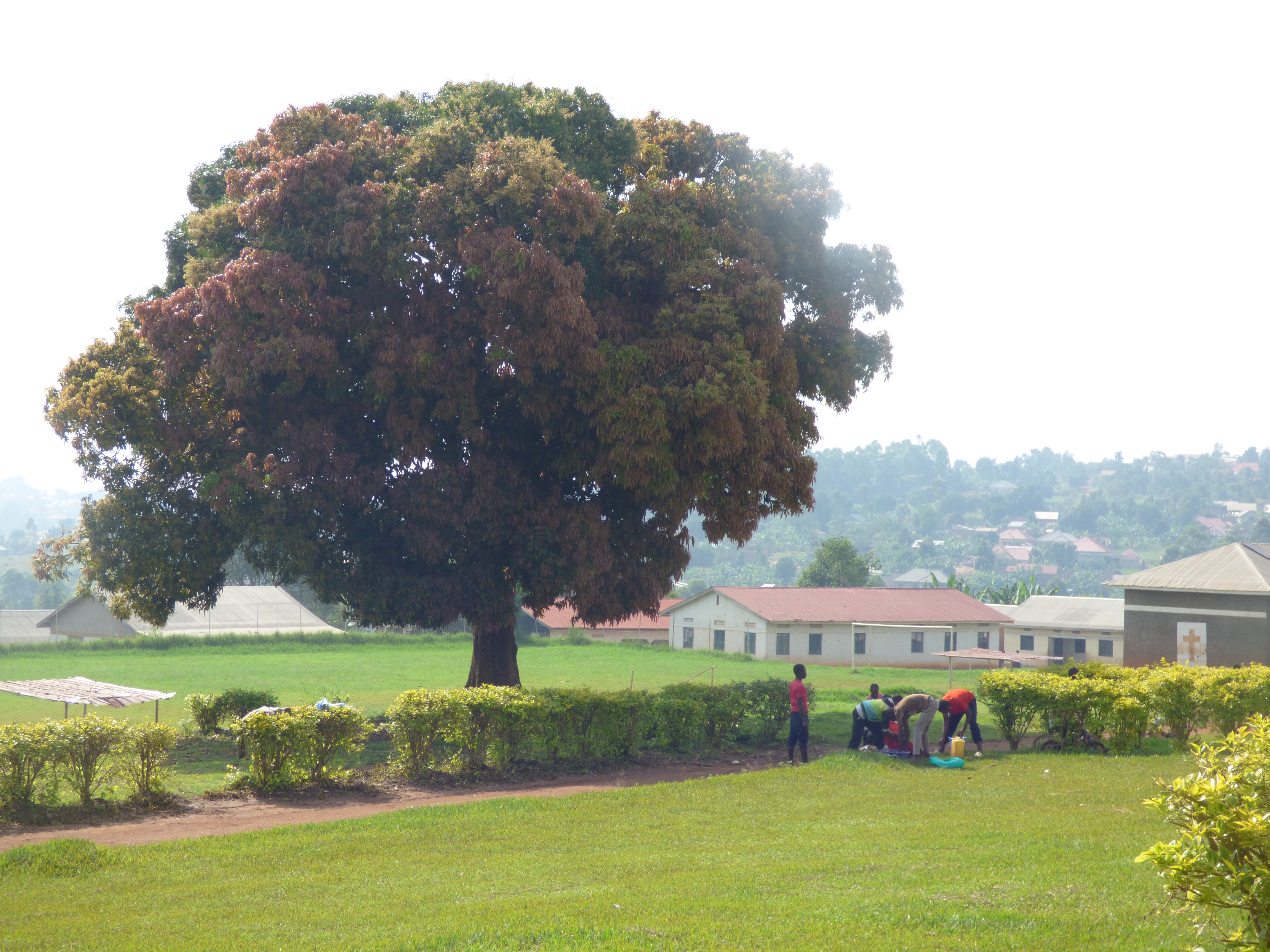 Bulabakulu from the School 2016